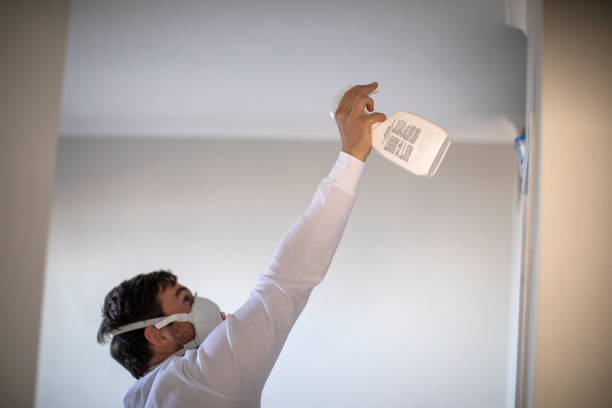 Best Mold Remediation for Specific Building Types in Baxter Estates, NY