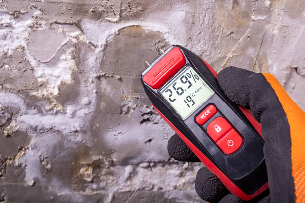 Best Bathroom Mold Remediation in Baxter Estates, NY